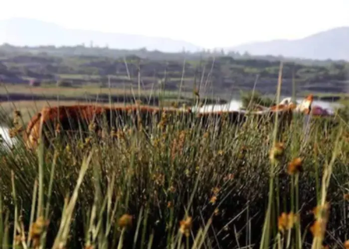 Sneem Hotel Отель 4*